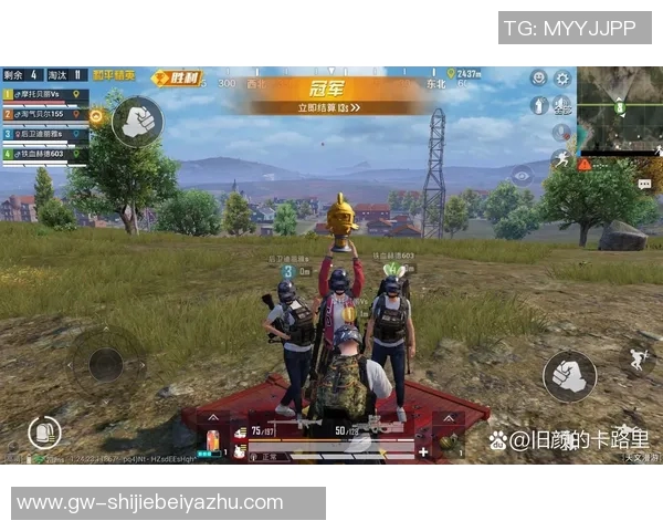 世界杯新闻和平精英中的LNG战队耐力分析与战术探讨